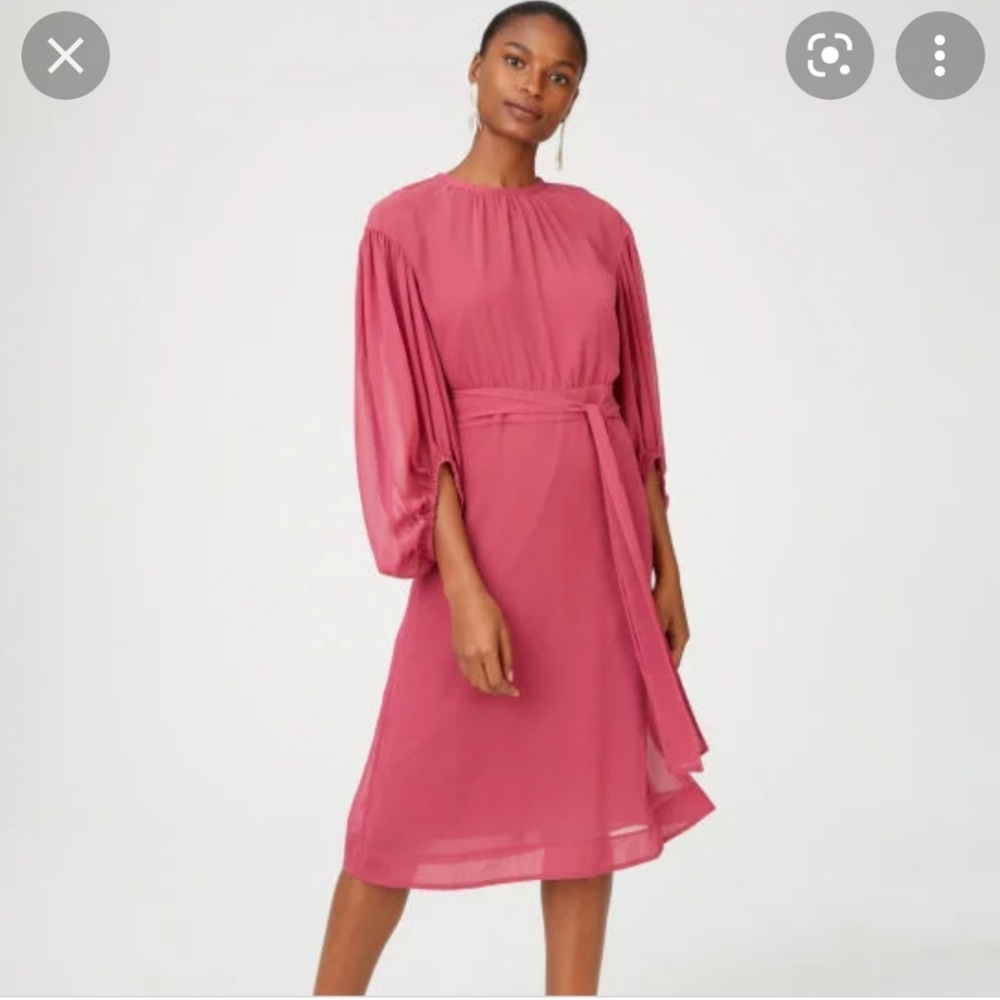 Club Monaco Pink Chiffon dress